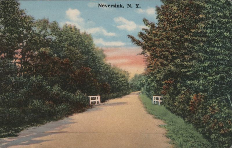 Road Lined with Trees and Fences Neversink New York