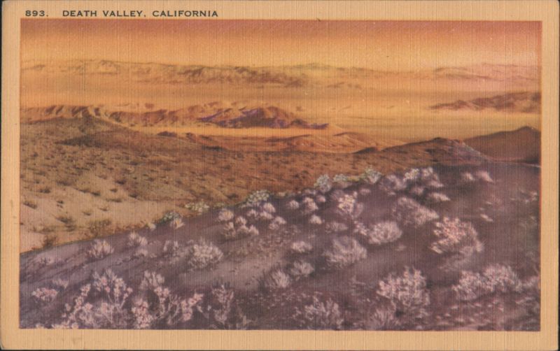 Death Valley, California Desert Landscape with Mountains