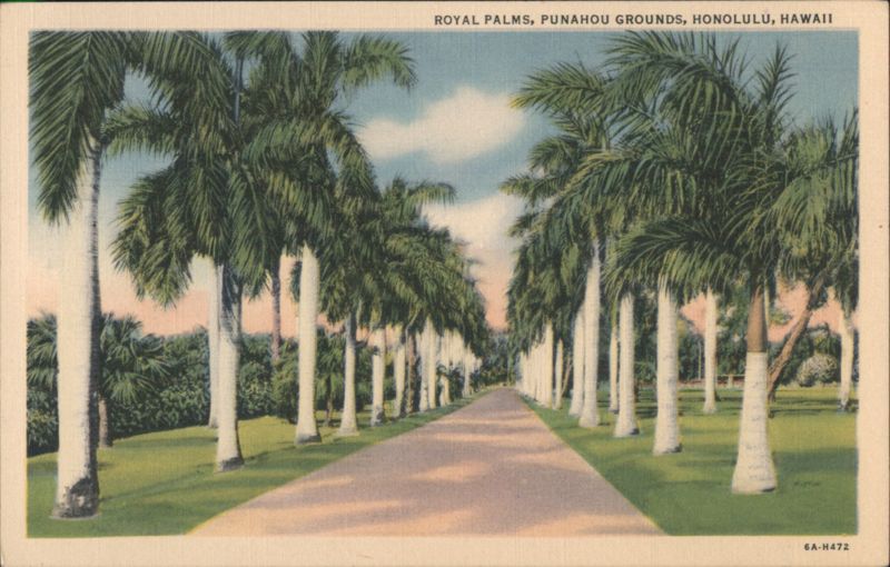Royal Palms Avenue, Punahou Grounds Honolulu Hawaii