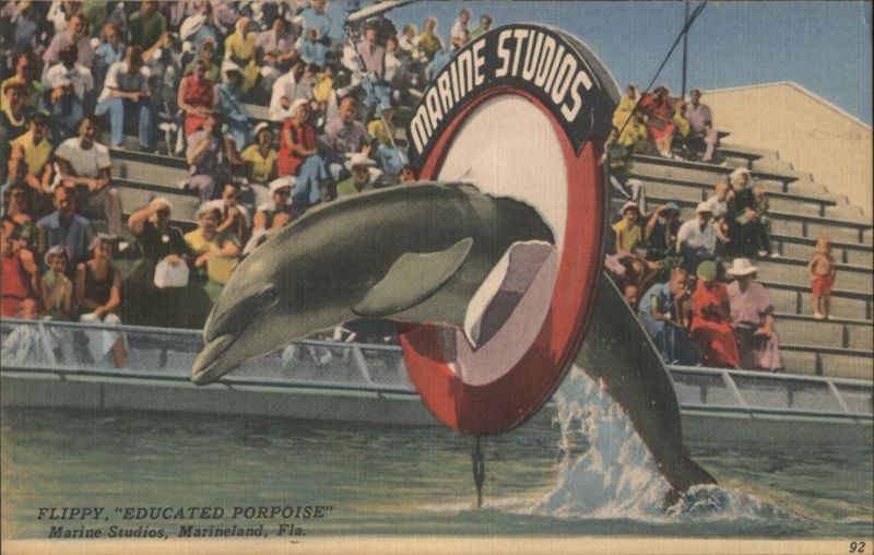 FLIPPY, EDUCATED PORPOISE Marine Studios, Marineland Florida