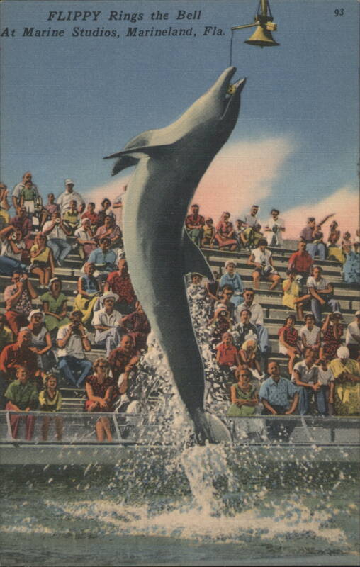 FLIPPY Rings the Bell at Marine Studios, Marineland, Fla. Florida