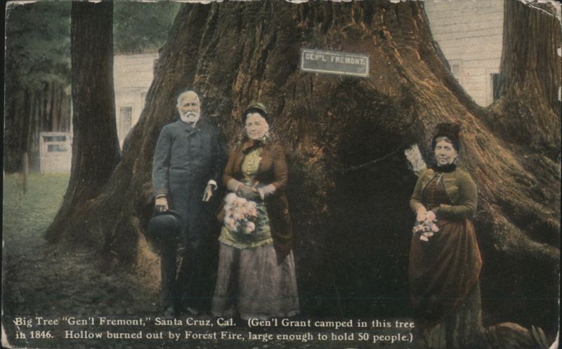 Big Tree 'Gen'l Fremont' Santa Cruz, CA - 3 People California