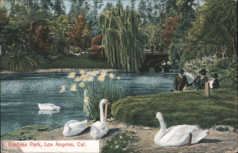 Eastlake Park Lake Scene with Swans & Men, Los Angeles California