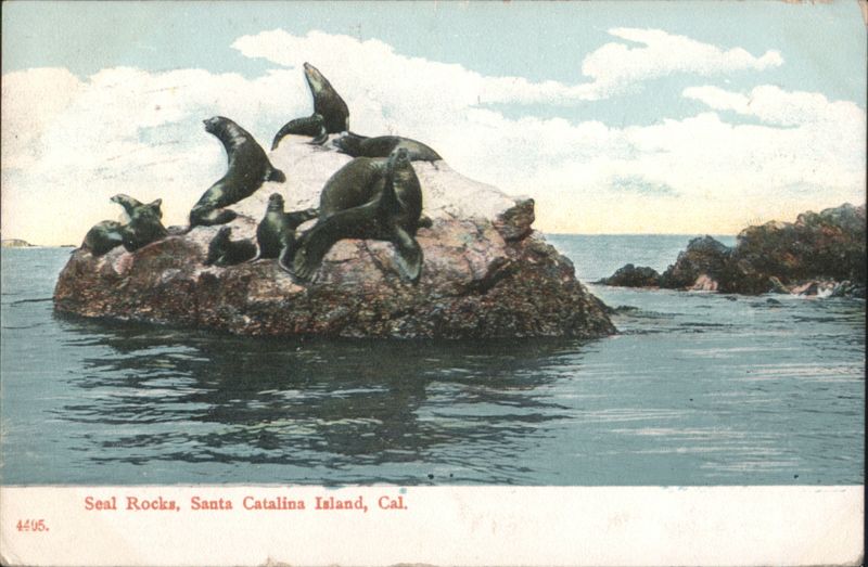 Seal Rocks, Santa Catalina Island, California