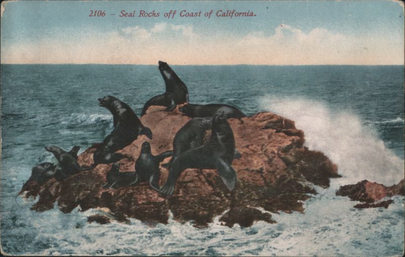 Seal Rocks off Coast of California