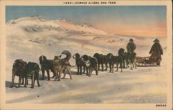 Famous Alaska Dog Team Postcard