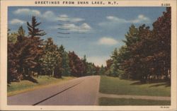 Greetings from Swan Lake, N.Y. Tree-Lined Road Postcard
