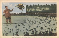 Jack Miner's Bird Sanctuary, Kingsville, Canada Postcard