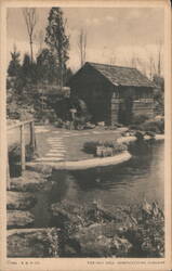 Old Mill Horticulture Gardens, A Century of Progress Postcard