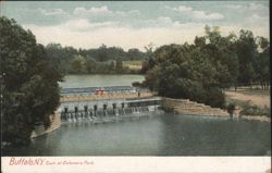 Dam at Delaware Park, Buffalo, NY Postcard