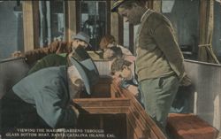 Viewing Marine Gardens Through Glass Bottom Boat, Santa Catalina Island Postcard