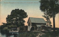 Packing Tomatoes on New River, Ft. Lauderdale, Florida Postcard