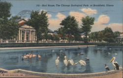 Bird House, Chicago Zoological Park, Brookfield, IL Postcard