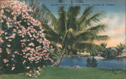 Oleanders and Palm Shaded Lagoon Postcard