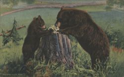LEARNING TABLE MANNERS - Bears on Tree Stump Postcard