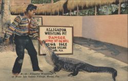 Alligator Wrestling Pit, Musa Isle Indian Village Postcard