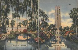 Cypress Gardens and Singing Tower, Central Florida Postcard