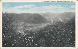 Mayo Trail Leading into Prestonsburg Postcard