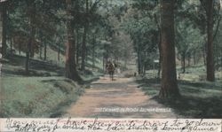 Entrance to Potash Sulphur Springs, Horse-drawn Carriage Postcard