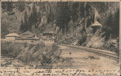 General View of Shasta Springs, Railroad Tracks Postcard
