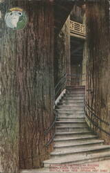 Forestry Building, Alaska-Yukon-Pacific Exposition, 1909 Postcard