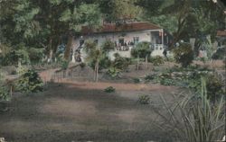 Building and Grounds, Soda Bay Springs, Lake County Postcard