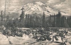 Mt. Shasta, California, in Winter Postcard