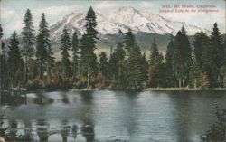 Mt. Shasta, Steward Lake, California Postcard