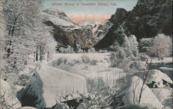 Winter Scene in Yosemite Valley Postcard