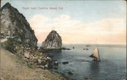 Sugar Loaf, Catalina Island Postcard