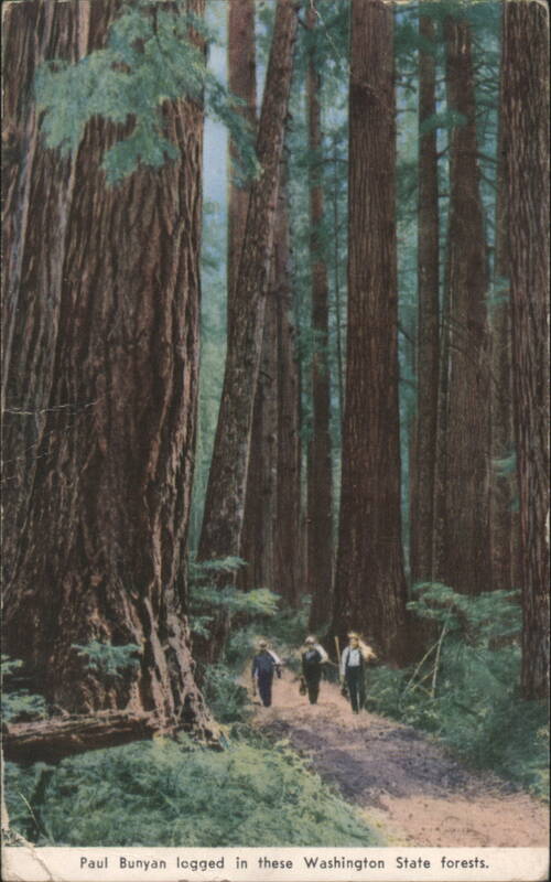 Paul Bunyan logged in these Washington State forests