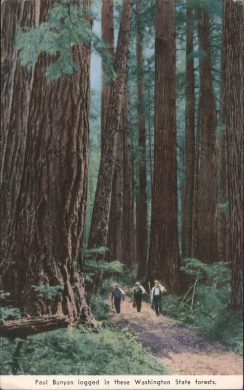 Paul Bunyan logged in these Washington State forests