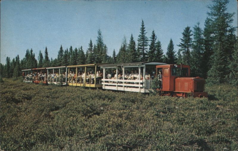 Toonerville Trolley, Tahquamenon Falls Cruise, MI Michigan