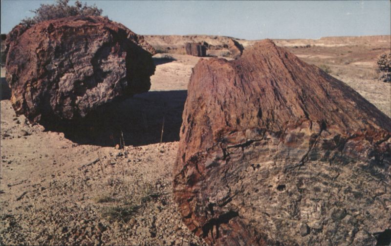 Petrified Log, Petrified Forest National Monument Arizona