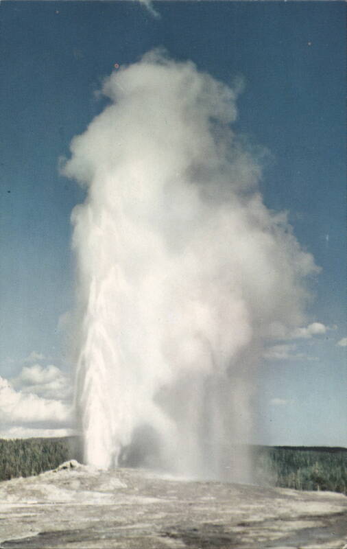 Old Faithful Geyser Erupting, Yellowstone Park Wyoming