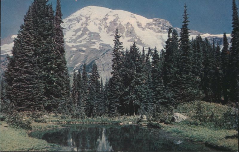 Mt. Rainier and Fairy Pool, 5550 Foot Level Washington