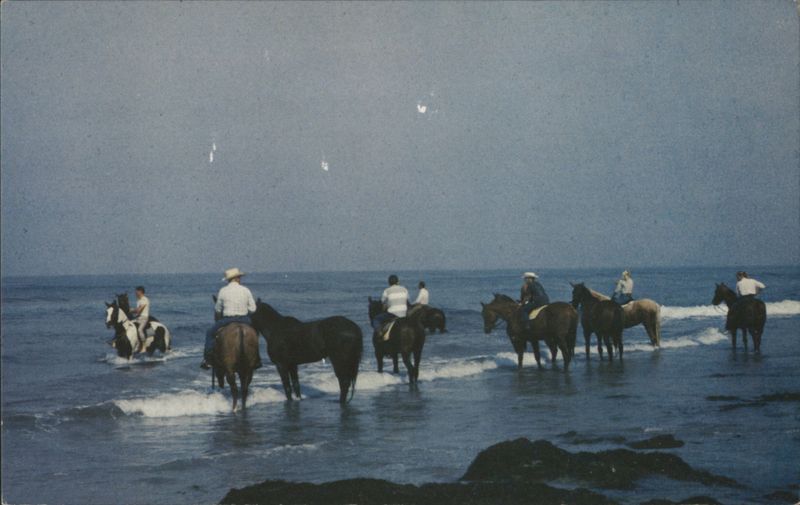 Racing at Del Mar: Horses in Ocean California