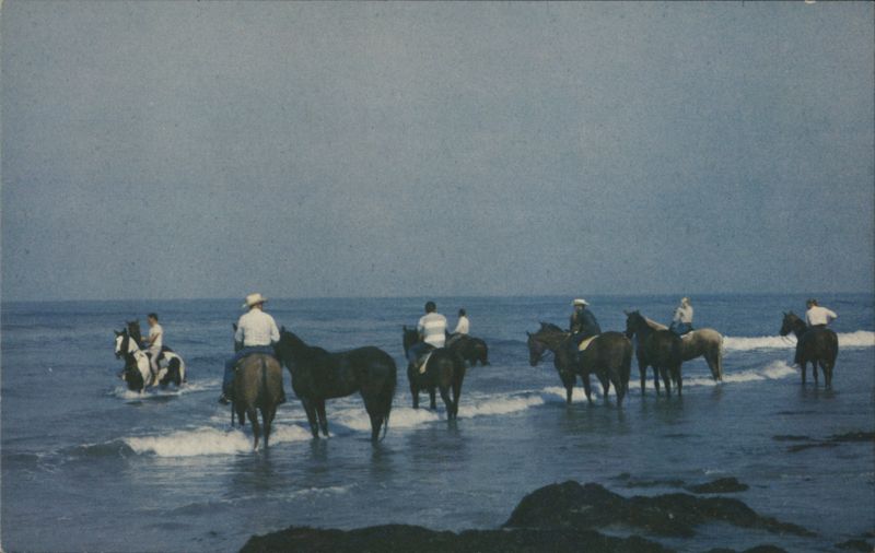 Racing at Del Mar Thoroughbreds Salt Water Therapy California