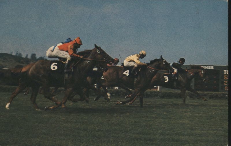 Horse Racing at Del Mar Turf Course California