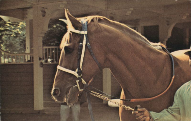 Secretariat, 1973 Triple Crown Winner, Meadow Stable