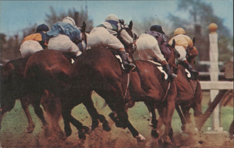 Horse Racing at Aqueduct Racetrack, Long Island New York
