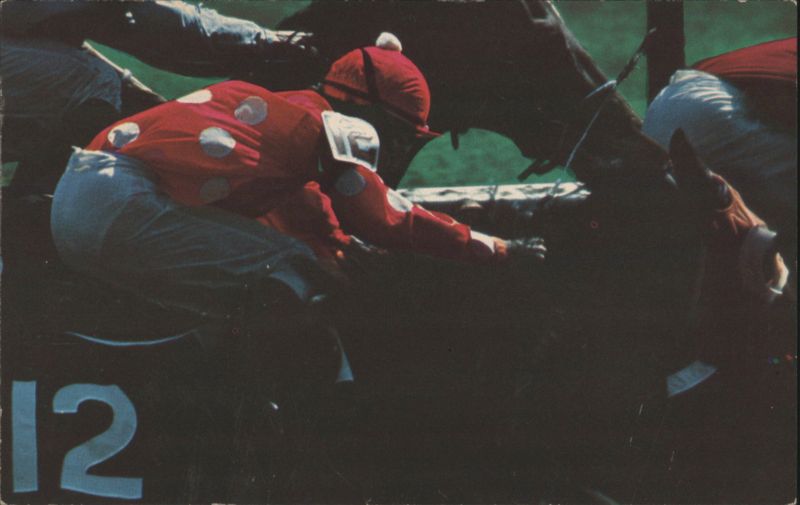 Thoroughbred Racing Jockey Drives Mount New York Tracks