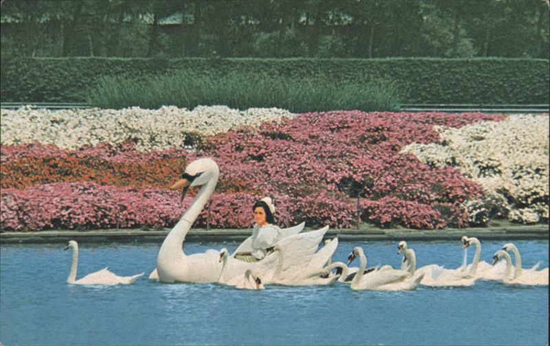 Hollywood Park Goose Girl, Swan Boat, Colorful Gardens Inglewood California
