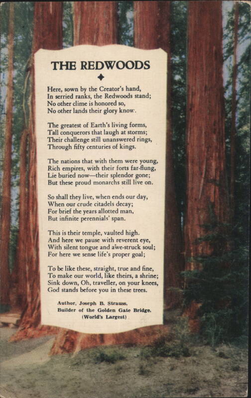 THE REDWOODS Poem by Joseph B. Strauss Golden Gate Bridge Builder California