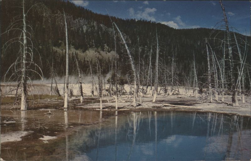 Hot Pools Near Old Faithful, Yellowstone National Park