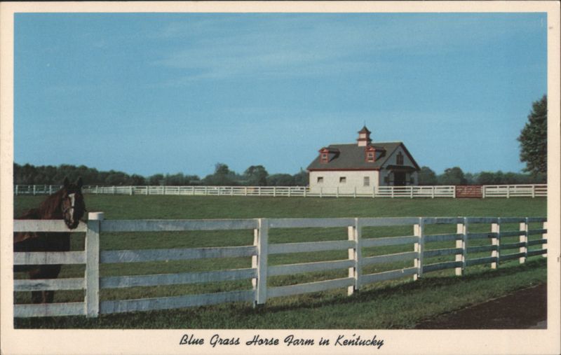 Blue Grass Horse Farm, Calumet Farm, Lexington, KY Kentucky