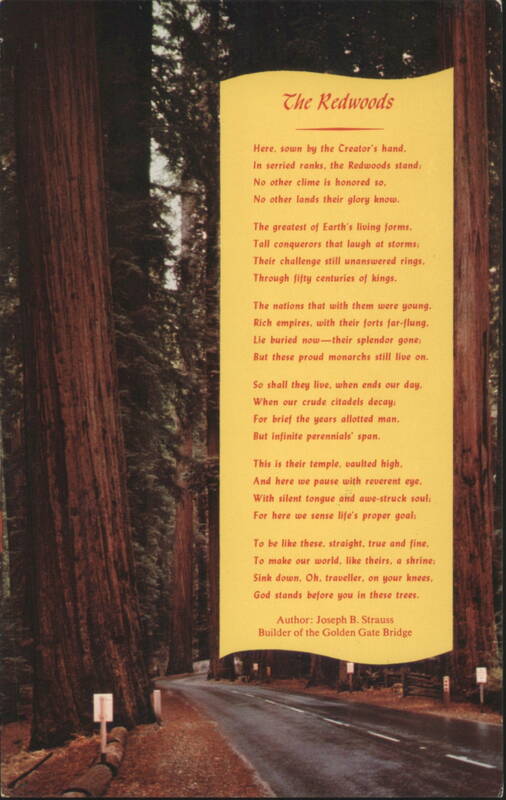 California Redwoods Road, Poem by Joseph B. Strauss