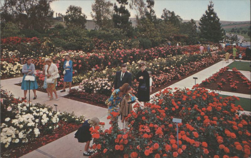 Pageant of Roses Garden, Rose Hills Memorial Park Whittier California