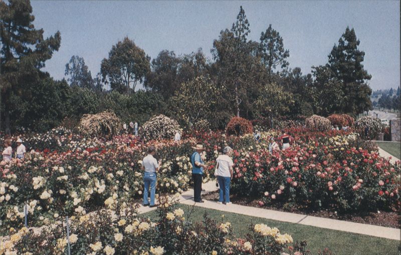 Rose Hills Pageant of Roses Garden Whittier California