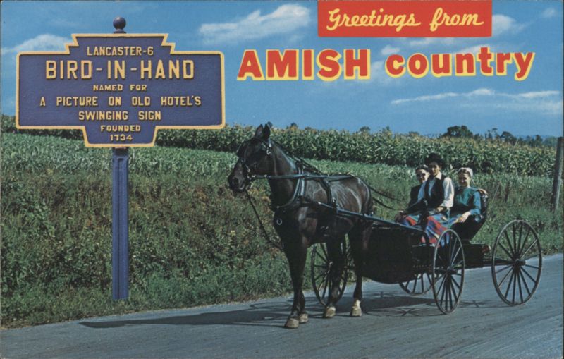 Amish Country Bird-in-Hand PA Horse & Buggy Sign Pennsylvania
